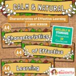 Characteristics of Effective Learning Display Banners – Large