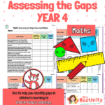 Assess the Gaps Maths Year 4