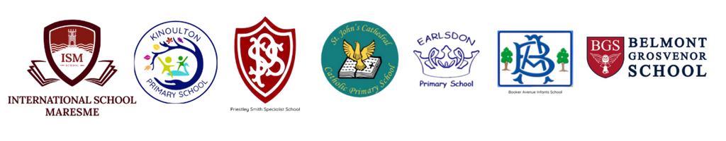 Twinkl alternative school discount