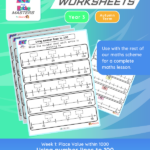 Year 3 using number lines to 100 place value worksheets