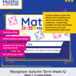 Reception Maths Autumn Week 12: 4 Sided Shapes