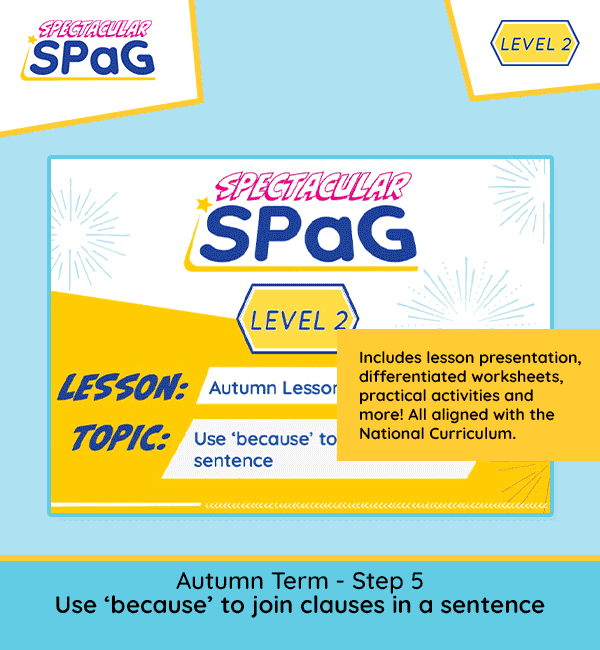 year 2 spag scheme of work