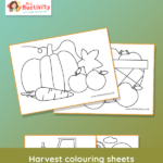 colouring sheets all about harvest for kids