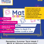 Reception Maths Summer Week 7: Sharing and Grouping
