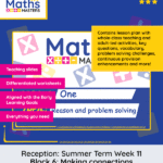 Reception Maths Summer Week 11: Making Connections