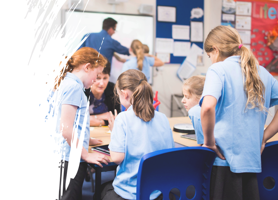 Primary science scheme