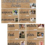 EYFS Language Rich Display Labels – Investigation Area