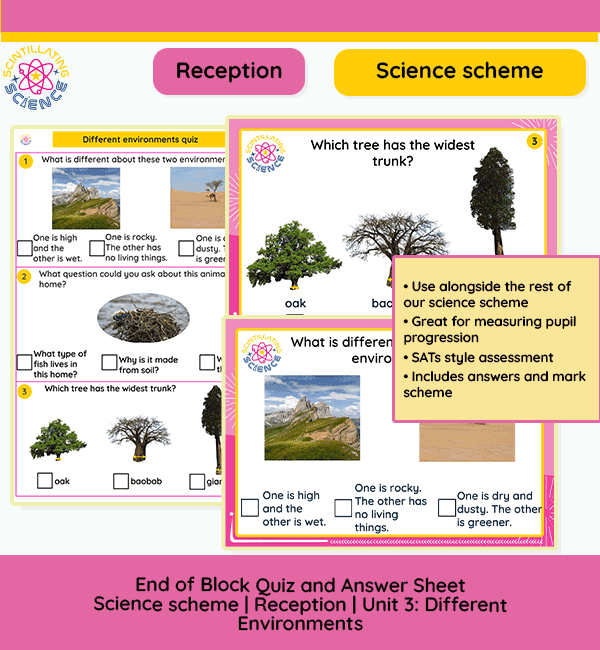 images and multiple choice answers