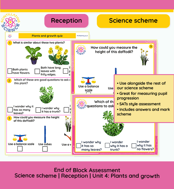 EYFS science quiz featuring multiple choice questions on plant features, growth, seed dispersal and simple observation