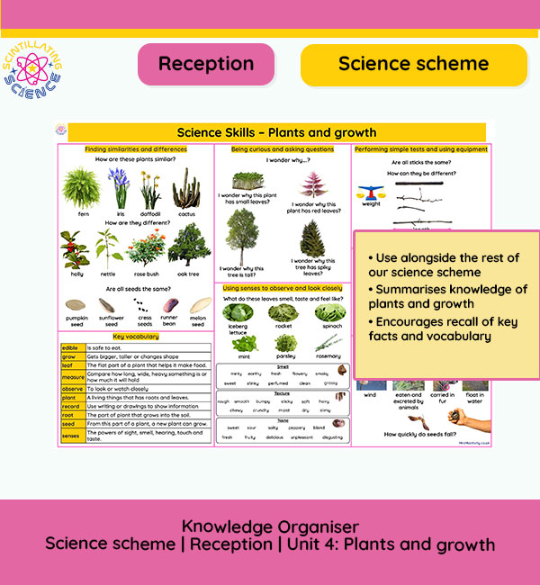 EYFS science knowledge organiser showing plant growth stages, seed types, enquiry skills, dandelion life cycle and vocabulary prompts