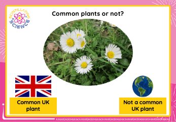 Science Slides Year 1 Unit 4 Lesson 1