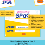 Year 5 spring spelling dictation tasks