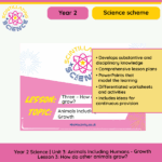 Year 2 life cycles lesson butterflies frogs science