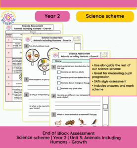 Year 2 animals including humans assessment growth science