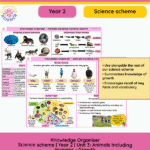 Year 2 animals including humans knowledge organiser growth vocabulary