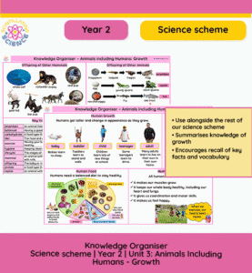 Year 2 animals including humans knowledge organiser growth vocabulary