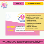 Year 2 animal senses badger lesson worksheet and slides preview