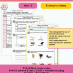 Year 2 Animals Including Humans Basic Needs assessment paper with answer sheet preview