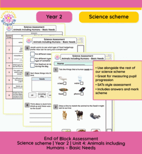Year 2 Animals Including Humans Basic Needs assessment paper with answer sheet preview