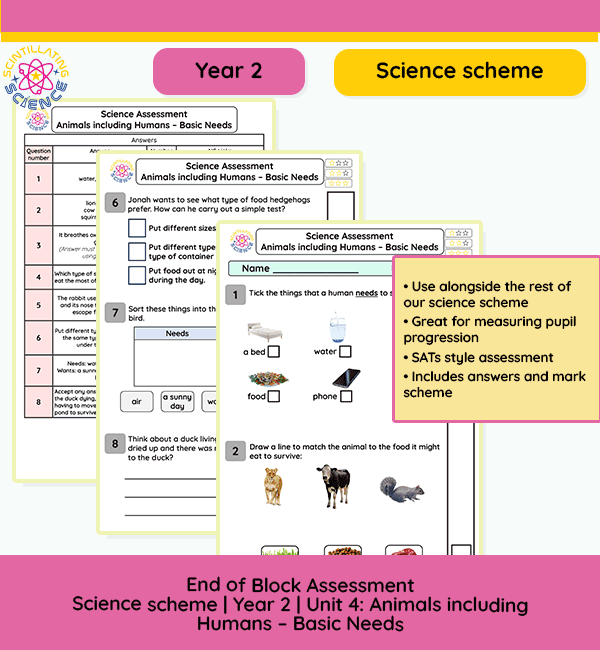 Year 2 Animals Including Humans Basic Needs assessment paper with answer sheet preview