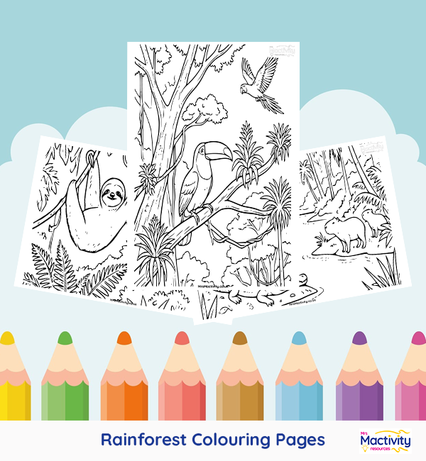 Printable rainforest colouring pages featuring rainforest animals including a toucan, sloth, jaguar and tropical rainforest scenes.