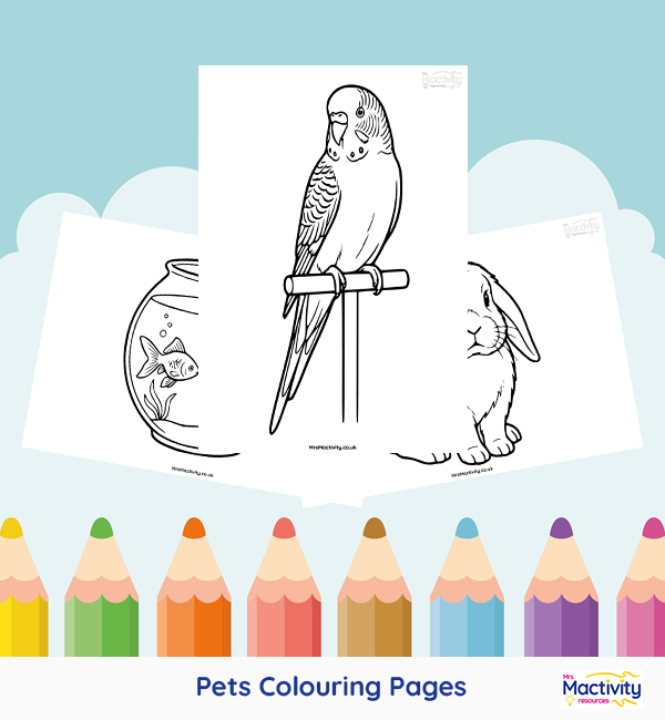 Printable pet colouring pages featuring a dog, cat, rabbit, budgie and goldfish with bold outlines for children to colour.