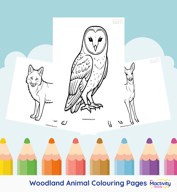 Printable woodland animal colouring pages featuring a fox, barn owl, squirrel, badger and deer with bold outlines for children.