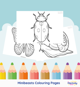Printable minibeast colouring pages featuring a ladybird, spider, butterfly, bee and snail.
